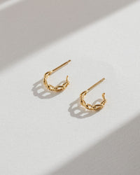 Gold Link Hoops