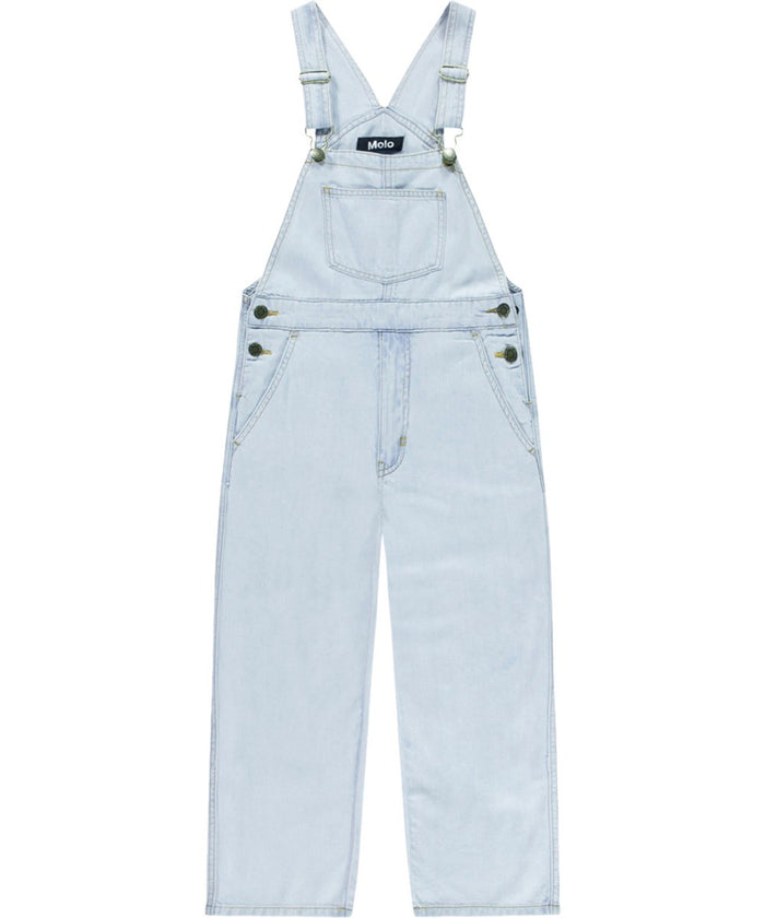 Denim Overalls