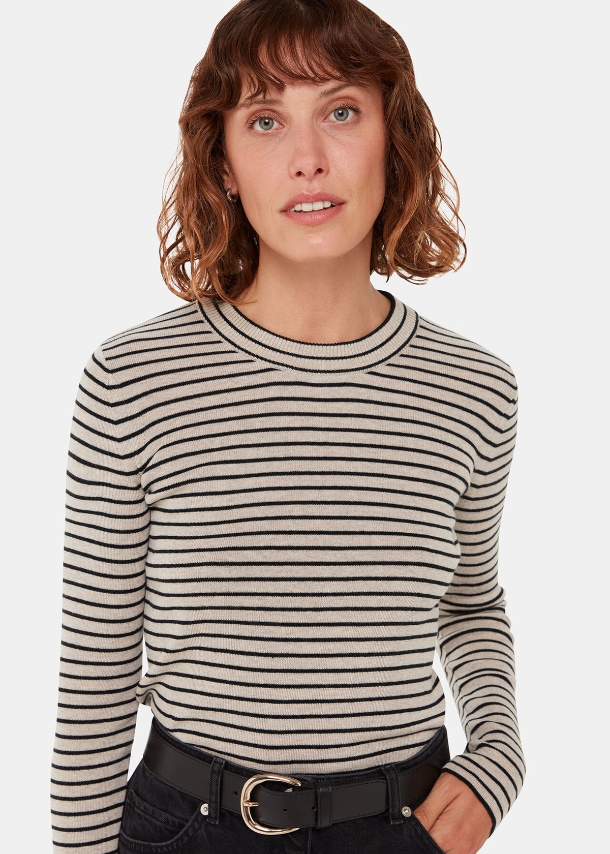 Fine Crew Stripe Knit